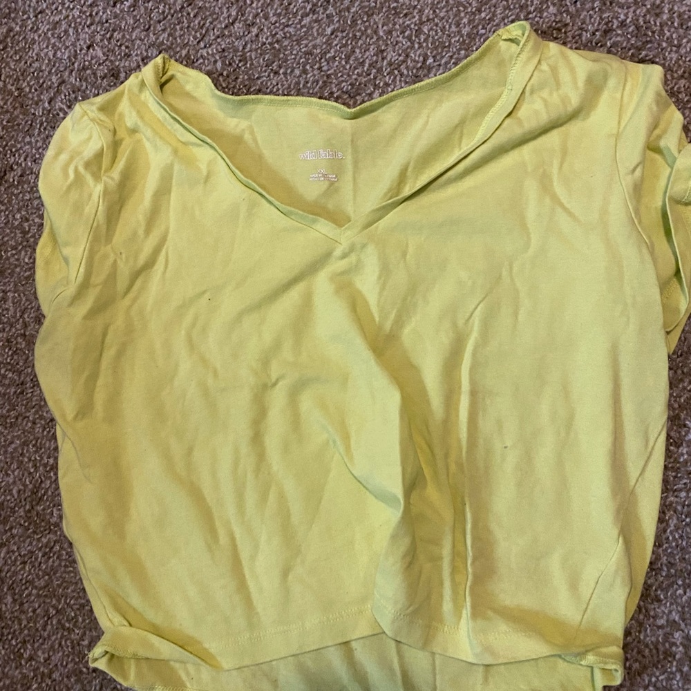 Wild fable crop top
